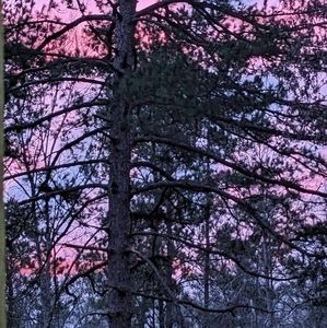 Meet your Posher, Kitty